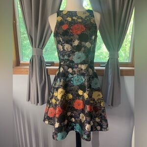 Tahari Special Occasion Dress size 2P
